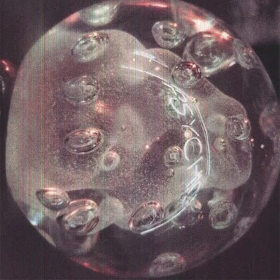 Darkside - Psychic (Vinyl) 3 Darkside - Psychic (Vinyl)