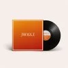 Jungle - Volcano (Black Vinyl) -Record Store jungleblack 600x
